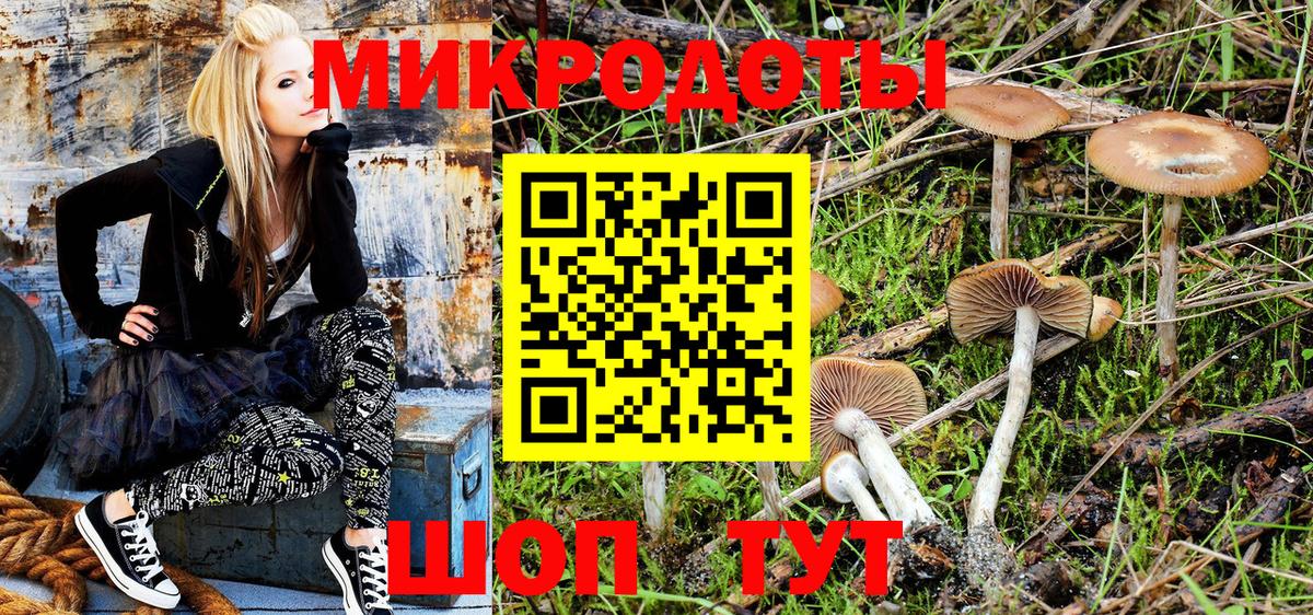 Псилоцибиновые грибы Magic Shrooms  Галлюциногенные грибы Magic Shrooms  Богородск  Вход с VPN 