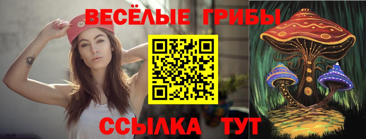 Псилоцибиновые грибы Magic Shrooms Богородск